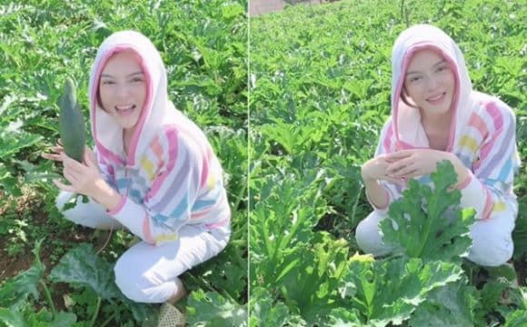 Lý Nhã Kỳ bỏ 50 tỷ mua đất Đà Lạt trồng rau, nuôi gà