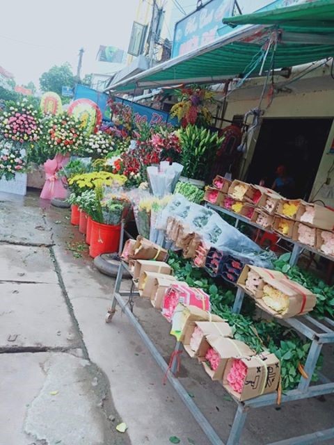 9X Bắc Giang khởi nghiệp kinh doanh hoa tươi thành công với số vốn 30tr đồng 9X Bắc Giang khởi nghiệp kinh doanh hoa tươi thành công với số vốn 30tr đồng