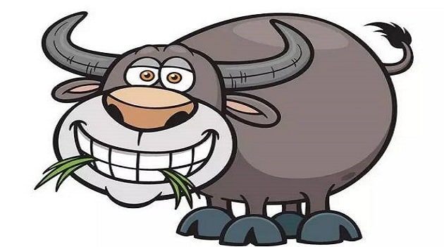 Bói tử vi 12 con giáp trong năm 2019 Bói tử vi 12 con giáp trong năm 2019