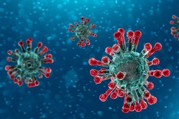 Toàn cảnh về đại dịch virus Coronavirus 2019 (nCoV)