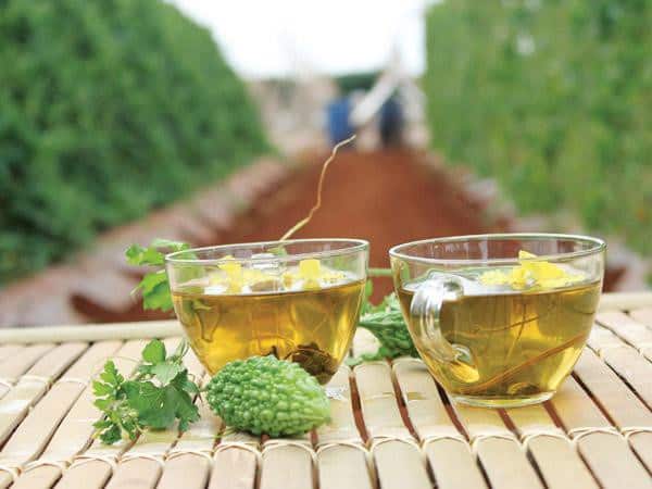 Top 7 loại trà thảo dược giải khát tăng sức đề kháng hiệu quả