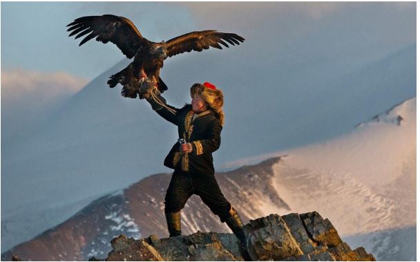 Mơ thấy đại bàng cát mộng không biết chừng cũng là ác mộng