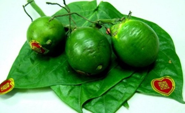 Nằm mơ thấy quả cau là có ý nghĩa như thế nào? Nằm mơ thấy quả cau là có ý nghĩa như thế nào?