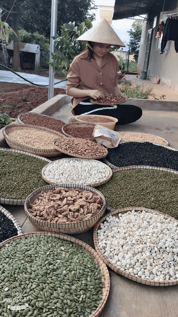 Dược sĩ tây y gặt hái thành công bằng ngũ cốc lợi sữa thiên nhiên Dược sĩ tây y gặt hái thành công bằng ngũ cốc lợi sữa thiên nhiên