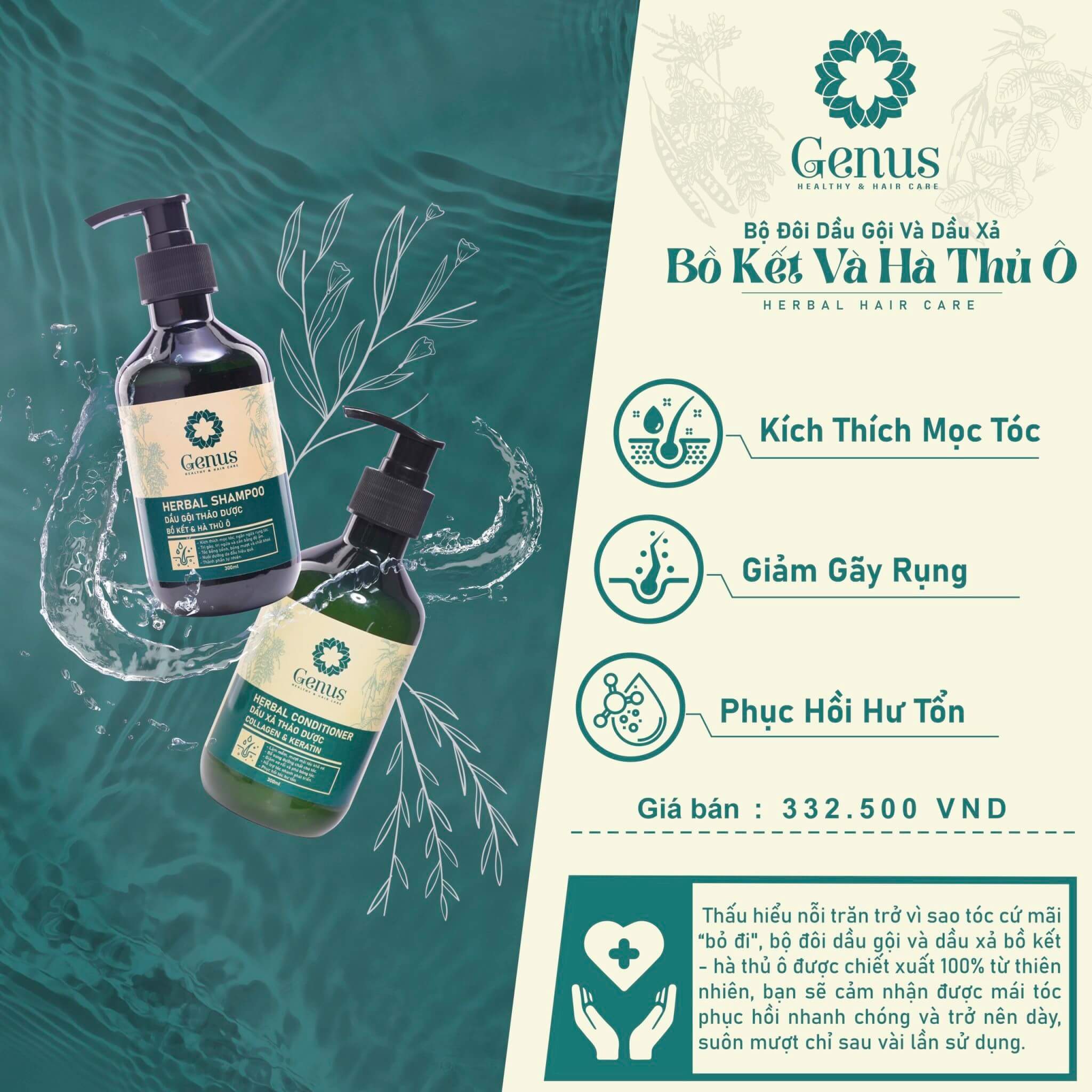 “Thần dược” chuyên trị các loại rụng tóc